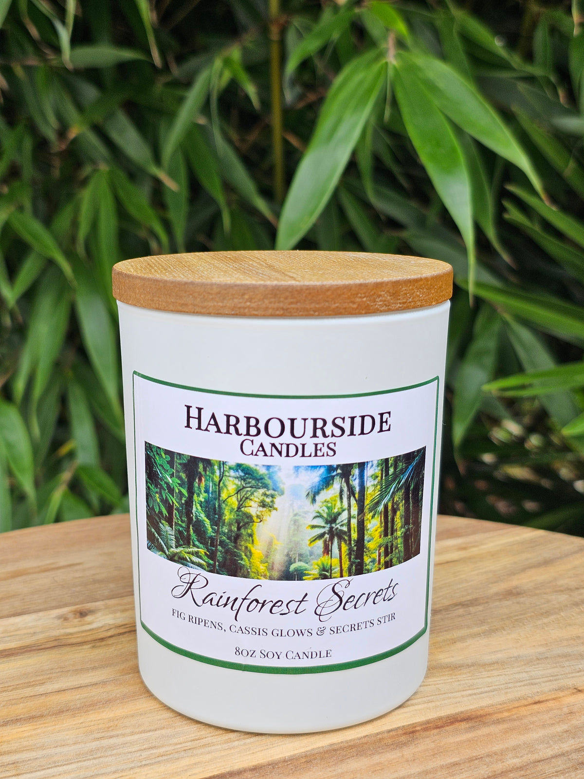 Rainforest Secrets